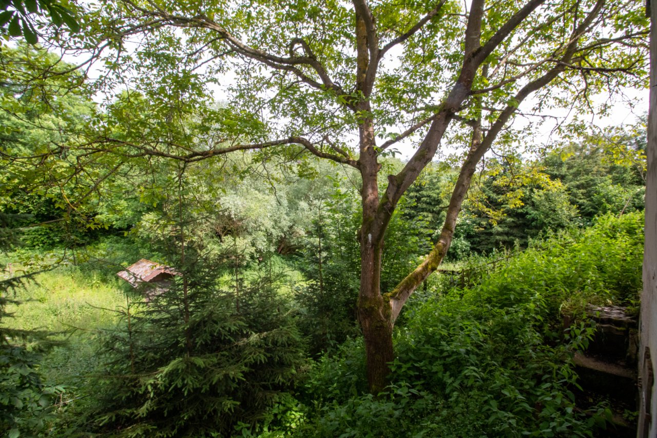 Aussicht und Garten