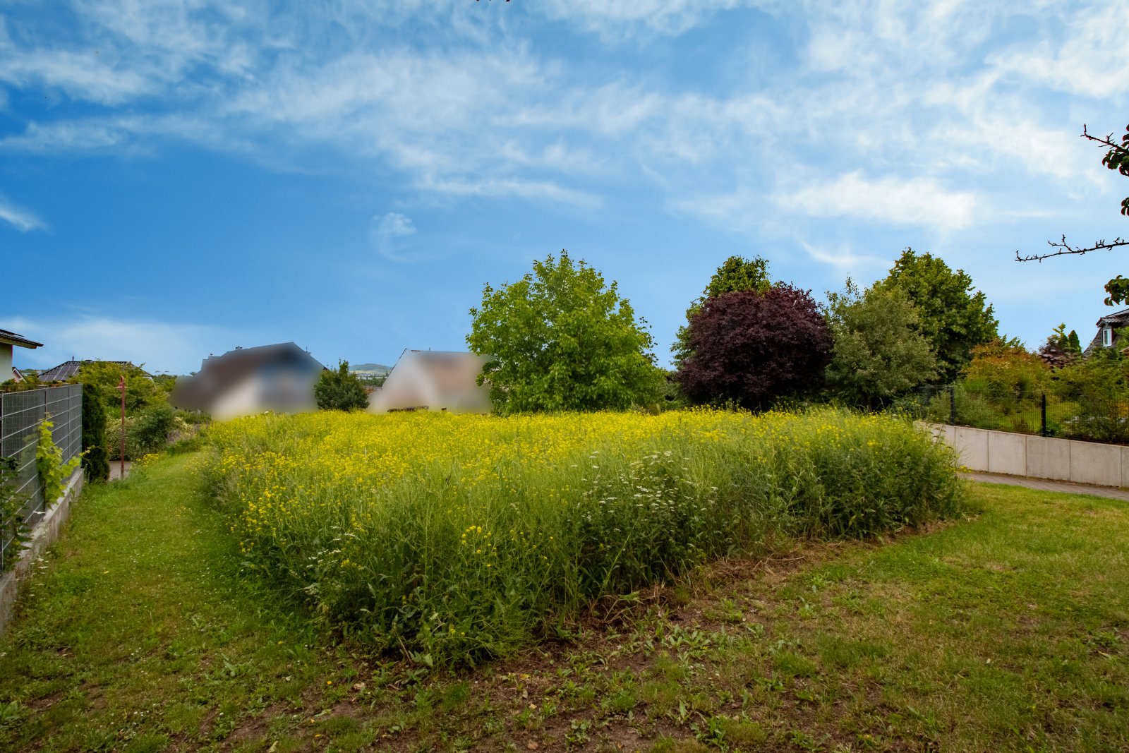 Top geschnittenes Grundstück in ruhiger Lage! Top geschnittenes Grundstück in ruhiger Lage!